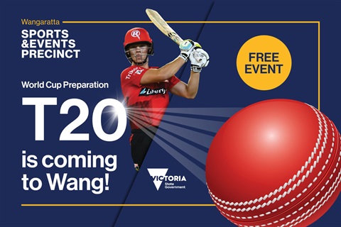 T20-web-banner