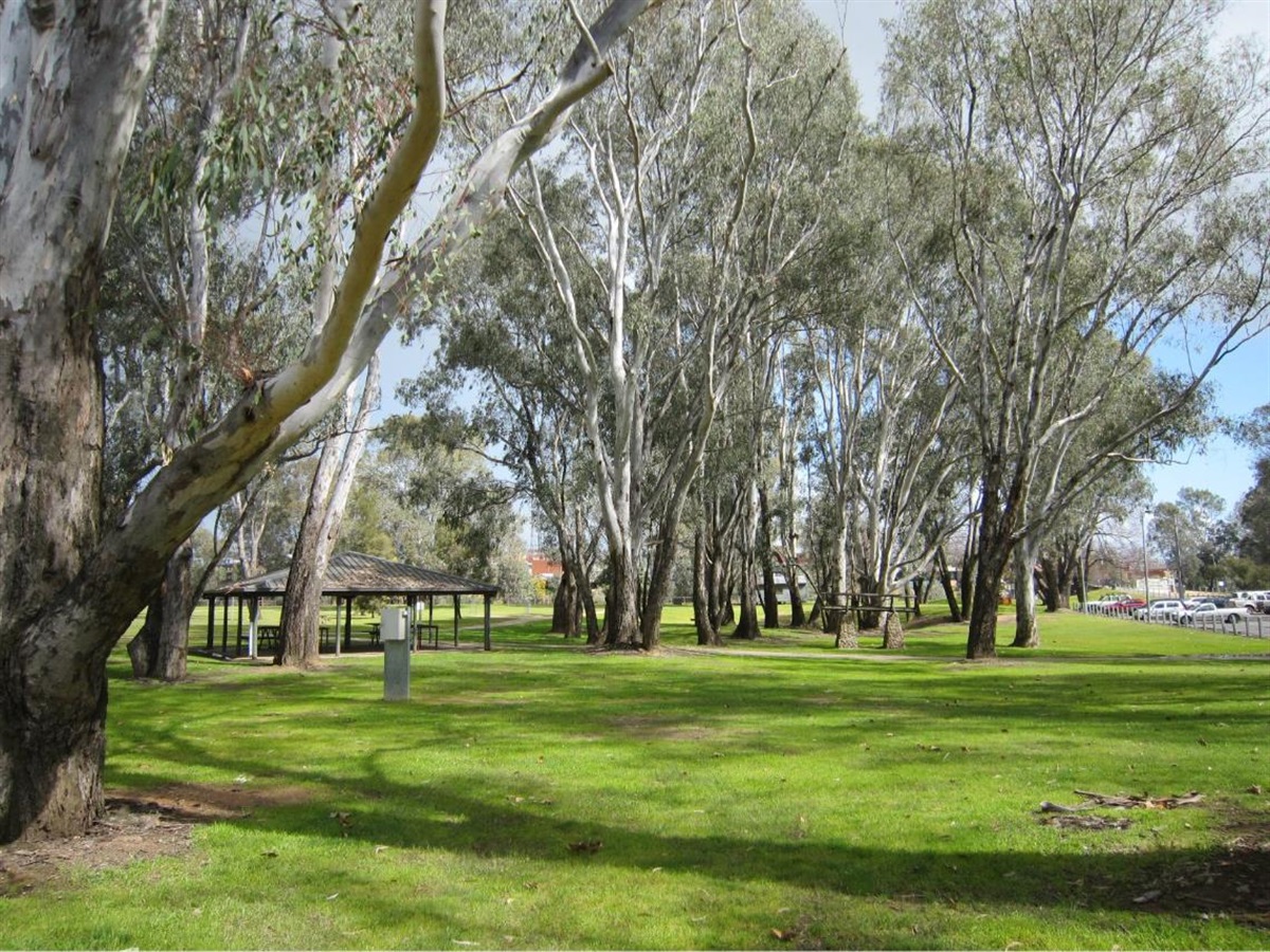 Apex Park, Attraction, High Country, Victoria, Australia