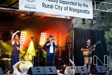 Wangaratta Outdoor Ball 1