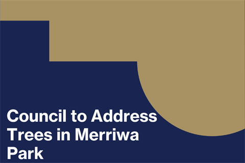 Council to Address Tree Risks in Merriwa Park.png