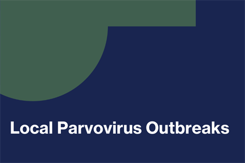 Local Parvovirus Outbreaks .png