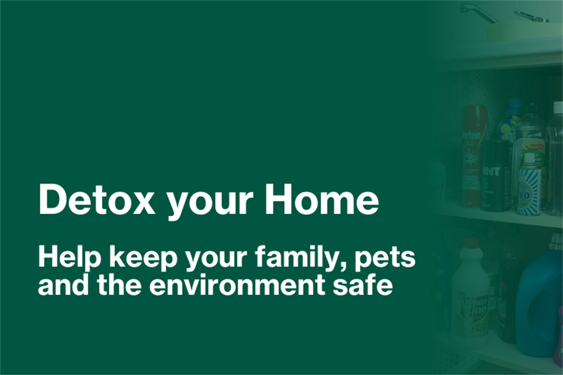 Detox your home what's on (1).png